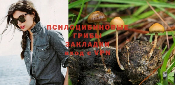 крисы Арсеньев