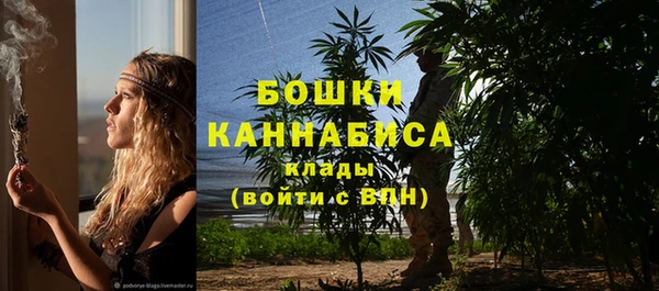 бошки Алексин