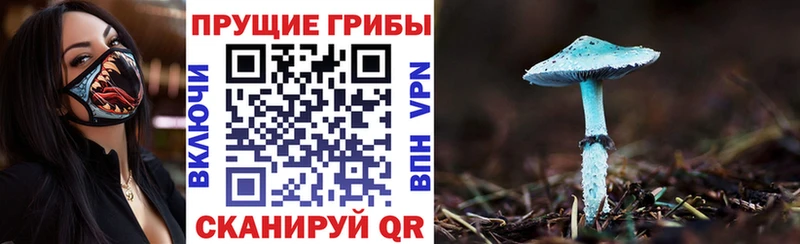 Псилоцибиновые грибы MAGIC MUSHROOMS Фокино